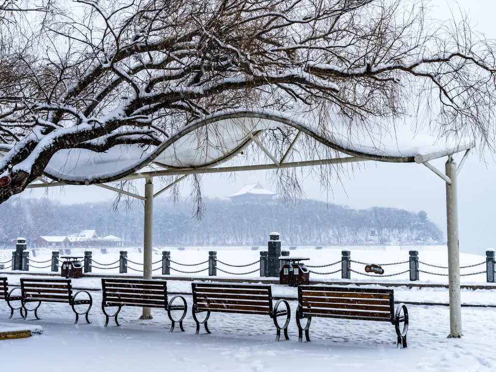 7 Sisters Northeast Complete Tour Package